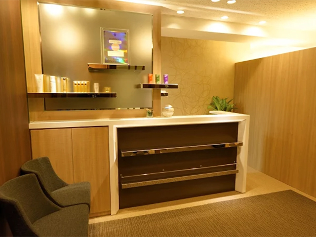 RAYVIS 銀座店